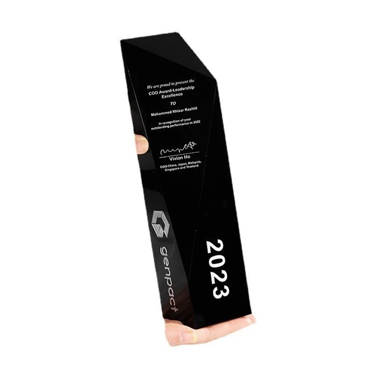 Black Cut Geometry Crystal Trophy